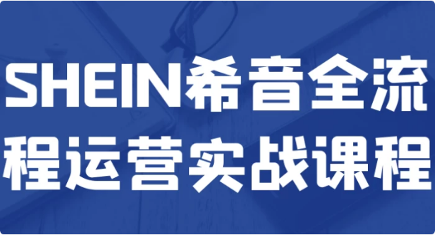 SHEIN希音全流程运营实战课程-十一网创