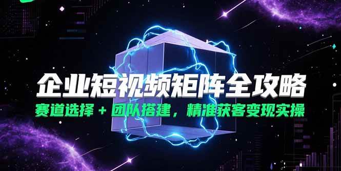 （15242期）企业短视频矩阵全攻略，赛道选择+团队搭建，精准获客变现实操-十一网创