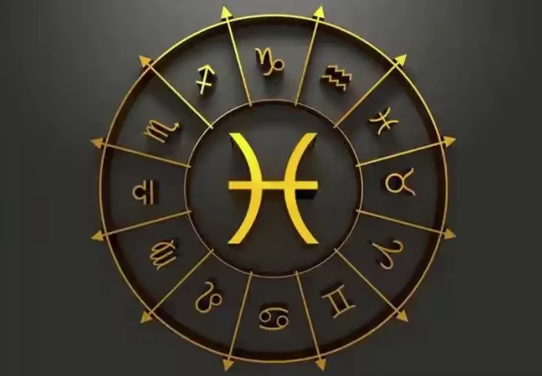 星辰八字教程（基础+进阶）-十一网创