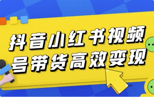 抖音小红书视频号带货高效变现-十一网创