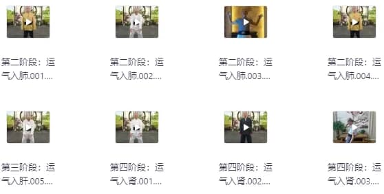 陆天龙极龄呼吸法21天养生营-十一网创