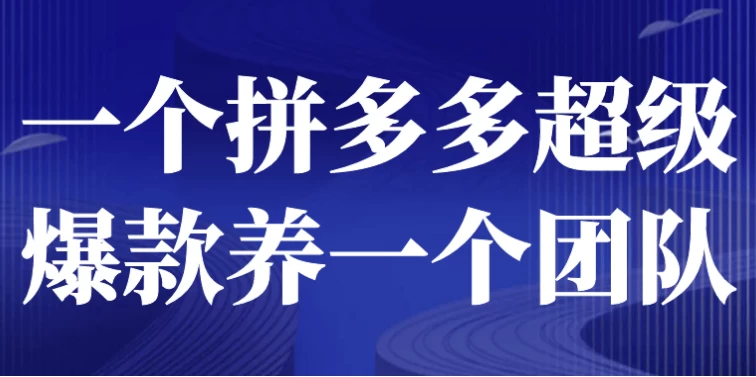 一个拼多多超级爆款养一个团队-十一网创