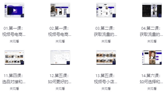视频号微信豆直播打品陪跑营（十三期）-十一网创