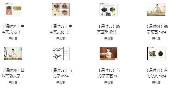 茶艺全套课程合集-十一网创