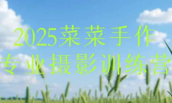 2025菜菜手作专业摄影训练营-十一网创