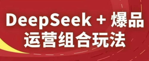 DeepSeek+爆品运营组合玩法-十一网创