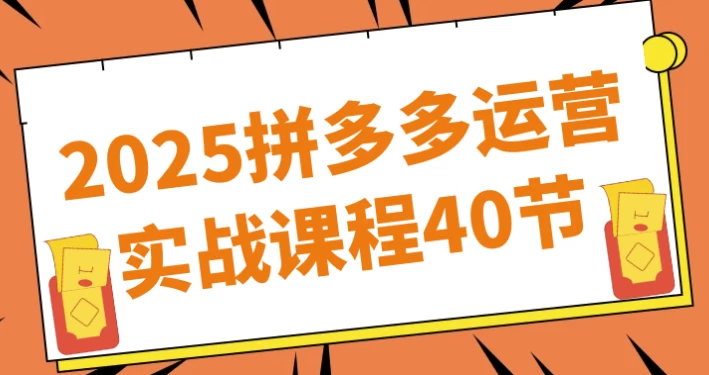 2025拼多多运营实战课程40节-十一网创