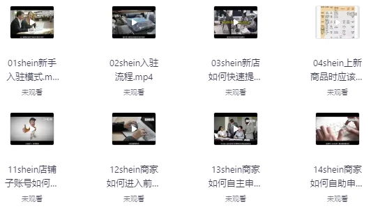 SHEIN希音全流程运营实战课-十一网创