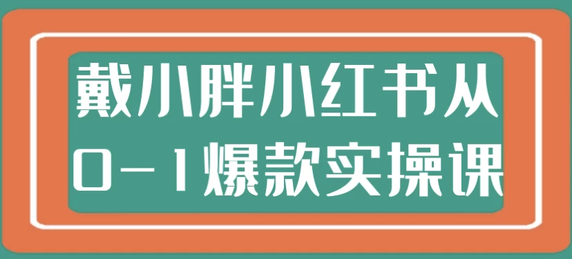 戴小胖小红书从0-1爆款实操课-十一网创