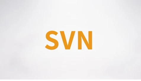 SVN视频课程–带源码课件-十一网创