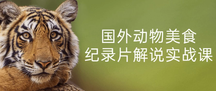 国外动物美食纪录片解说实战课-十一网创