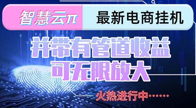 （15314期）智慧云π电脑挂机单机每天收益300—500+并带有团队管道收益可无限放大-十一网创