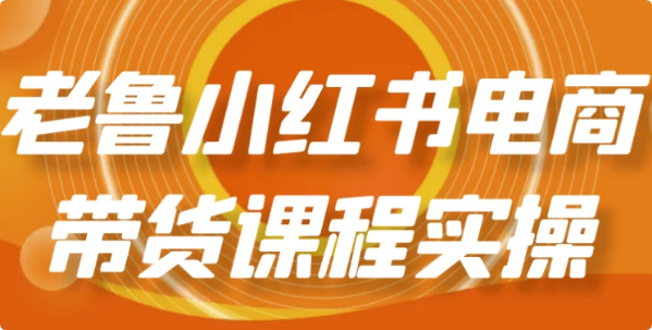 老鲁小红书电商带货课程实操-十一网创