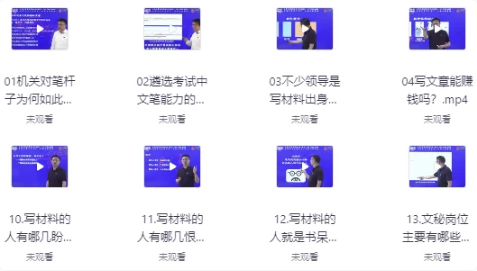 大笔杆子夏晓华写作系统课-十一网创