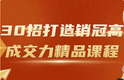 30招打造销冠高成交力精品课程-十一网创