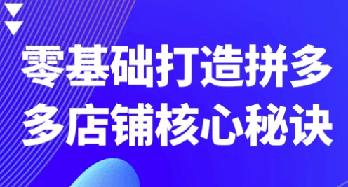 零基础打造拼多多店铺核心秘诀-十一网创