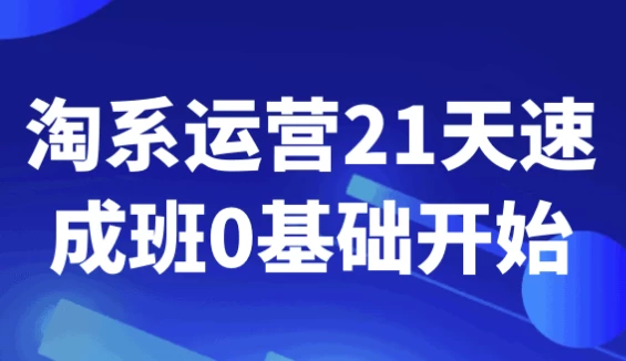 淘系运营21天速成班0基础开始-十一网创