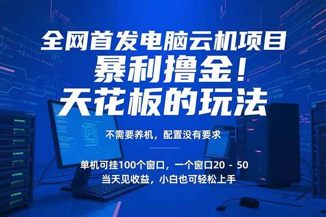 （15323期）电脑云机项目暴力撸金玩法，不需要养机配置没有要求单机100个窗口一…-十一网创