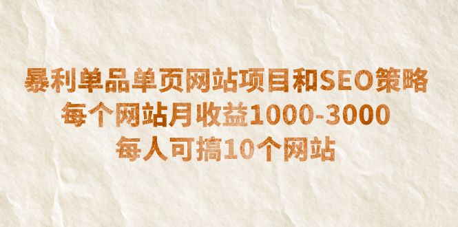 （6503期）暴利单品单页网站项目和SEO策略每个网站月收益1000-3000每人可搞10个-十一网创