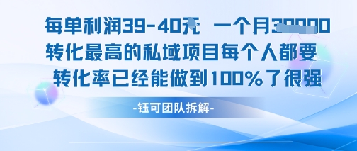 每单利润40一个月7k+转化最高的私域项目，每个人都要的产品转化率已经能做到100%-十一网创