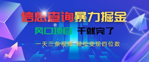 信息查询暴力掘金，一天三条视频，轻松变现四位数，风口项目干就完了【揭秘】-十一网创