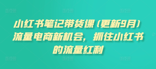 小红书笔记带货课(更新25年6月)流量电商新机会，抓住小红书的流量红利-十一网创