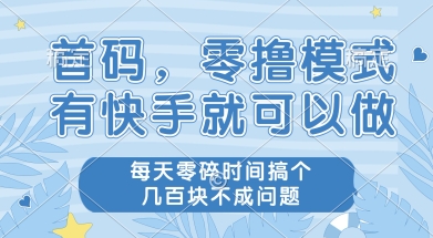 首码零撸项目，有快手就可以做，每天业务时间搞个几张不是问题【揭秘】-十一网创
