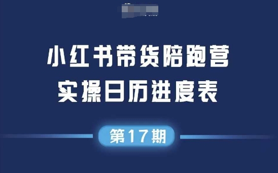 小红书第17期带货陪跑营，不囤货，无不直播，无不投流，通过选品+笔记内容+测品+笔记铺量+矩阵运营打爆款-十一网创