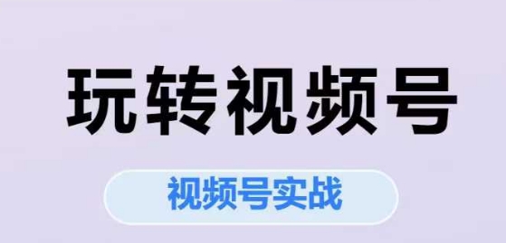 玩转视频号，视频号实战系列课-十一网创
