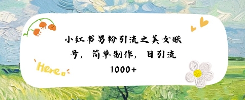 小红书男粉引流项目之美女账号6，简单制作，条条爆款原创，不违规-十一网创