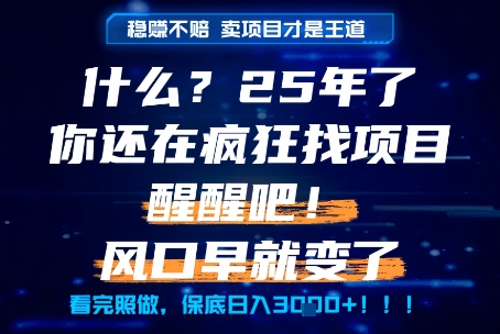 什么？25年你还在疯狂找项目做，醒醒吧，看完这些你全都懂了！【揭秘】-十一网创