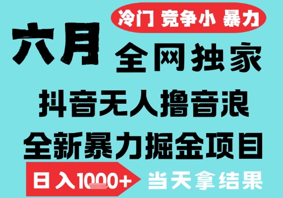2025年6月高爆抖音无人直播最新撸音浪掘金项目，无脑日入1k+，低门槛小白可做，可矩阵放大【揭秘】-十一网创