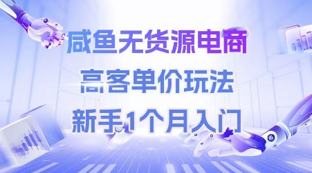 咸鱼无货源电商，高客单价玩法，新手1个月入门-十一网创