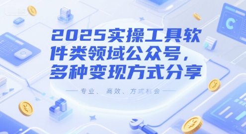 2025实操工具软件类领域公众号，多种变现方式分享-十一网创