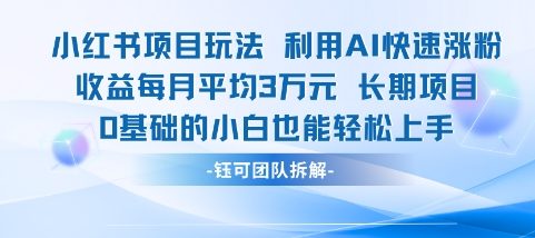 适合小白操作的小红书新项目，利用AI快速涨粉，收益每月平均1W+-十一网创