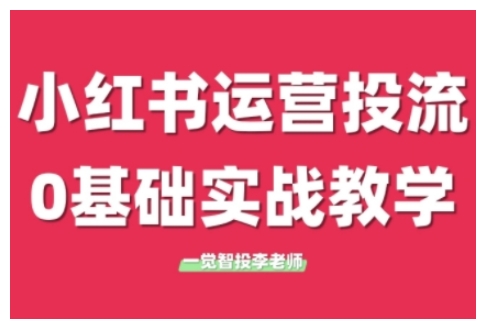 小红书运营投流，小红书广告投放从0到1的实战课，学完即可开始投放（更新）-十一网创