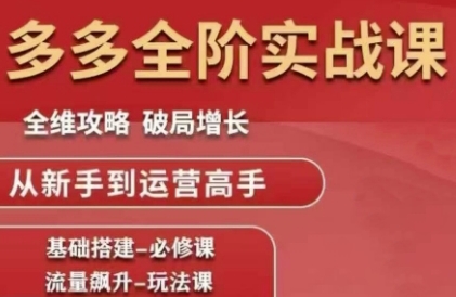 拼多多全阶实战课程，全维攻略，破局增长，从新手到运营高手-十一网创