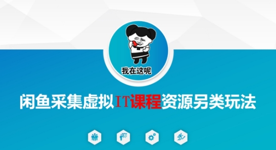 闲鱼采集虚拟IT课程资源另类玩法，干货满满-十一网创