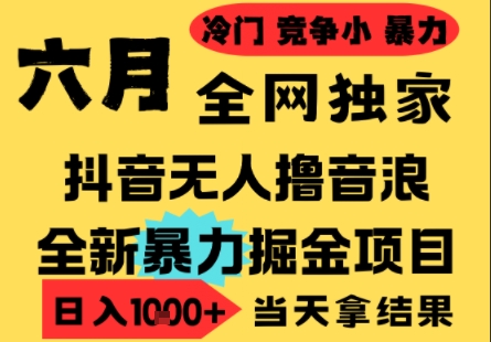 25年6月高爆抖音无人直播最新撸音浪掘金项目，小白可做，无脑日入1k+，门槛低可批量矩阵【揭秘】-十一网创