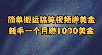 简单搬运搞笑视频挣美金，新手一个月入1k美金-十一网创