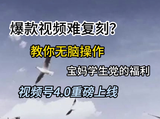 视频号4.0重磅上线，爆款视频难复刻？教你无脑操作宝妈学生党的福利【揭秘】-十一网创