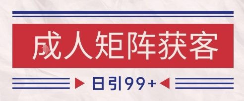 小红书某音橙人赛道引流获客，自热矩阵日引200+【揭秘】-十一网创