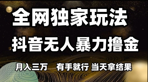 全网独家玩法抖音无人暴力撸金，月入3W，有手就行，当天拿结果【揭秘】-十一网创