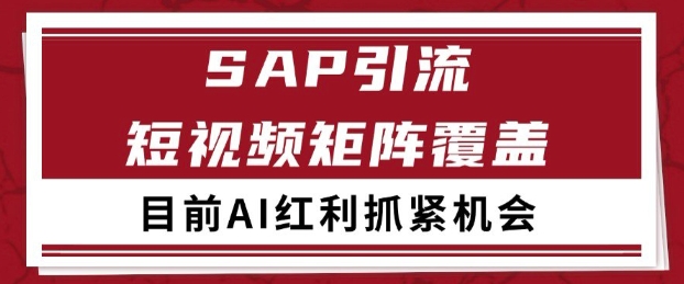 小红书某音sap赛道引流获客自热矩阵日引200+【揭秘】-十一网创
