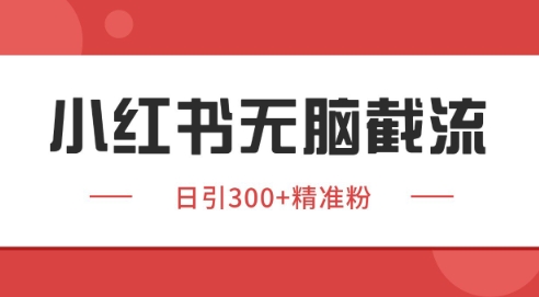小红书截流同行客源，独家野路子获客玩法日引200+暴力获客【揭秘】-十一网创