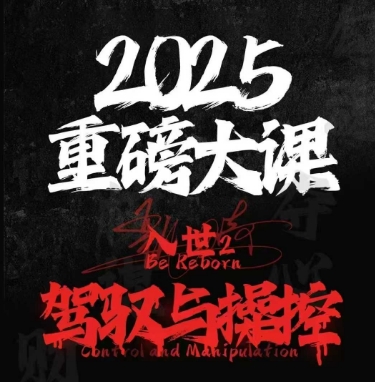 2025重磅大课，入世2，驾驭与控制-十一网创