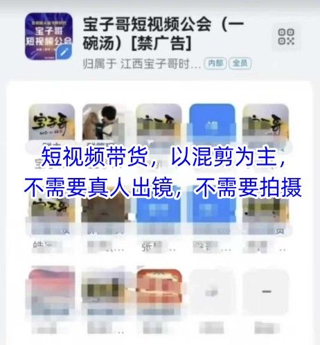 宝子哥头部团队短视频带货，以混剪为主，不需要真人出镜，不需要拍摄【更新】-十一网创