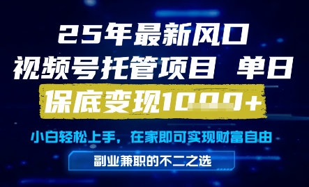 25年最新风口，视频号托管项目，单日保底变现1k+，手把手教学【揭秘】-十一网创