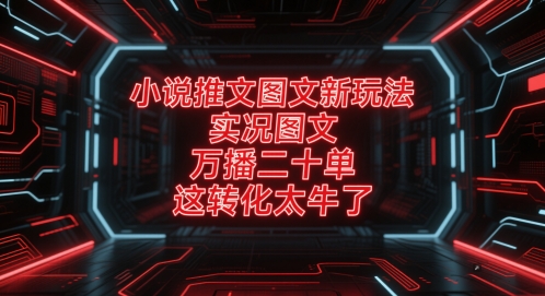 小说推文图文新玩法，实况图文，万播二十单，这转化太牛了！-十一网创