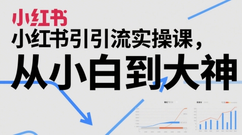 小红书引流实操课，从小白到大神-十一网创